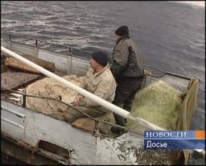 Рейды рыбохраны в Иркутской области