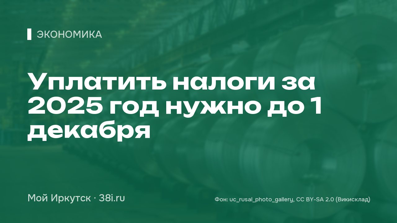 Уплатить налоги за 2025 год нужно до 1 декабря