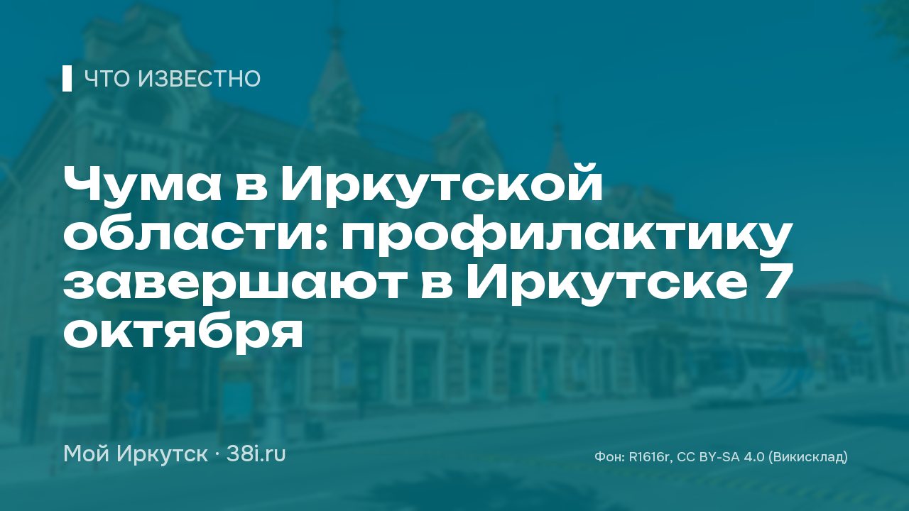 Чума в Иркутской области: профилактику завершают в Иркутске 7 октября
