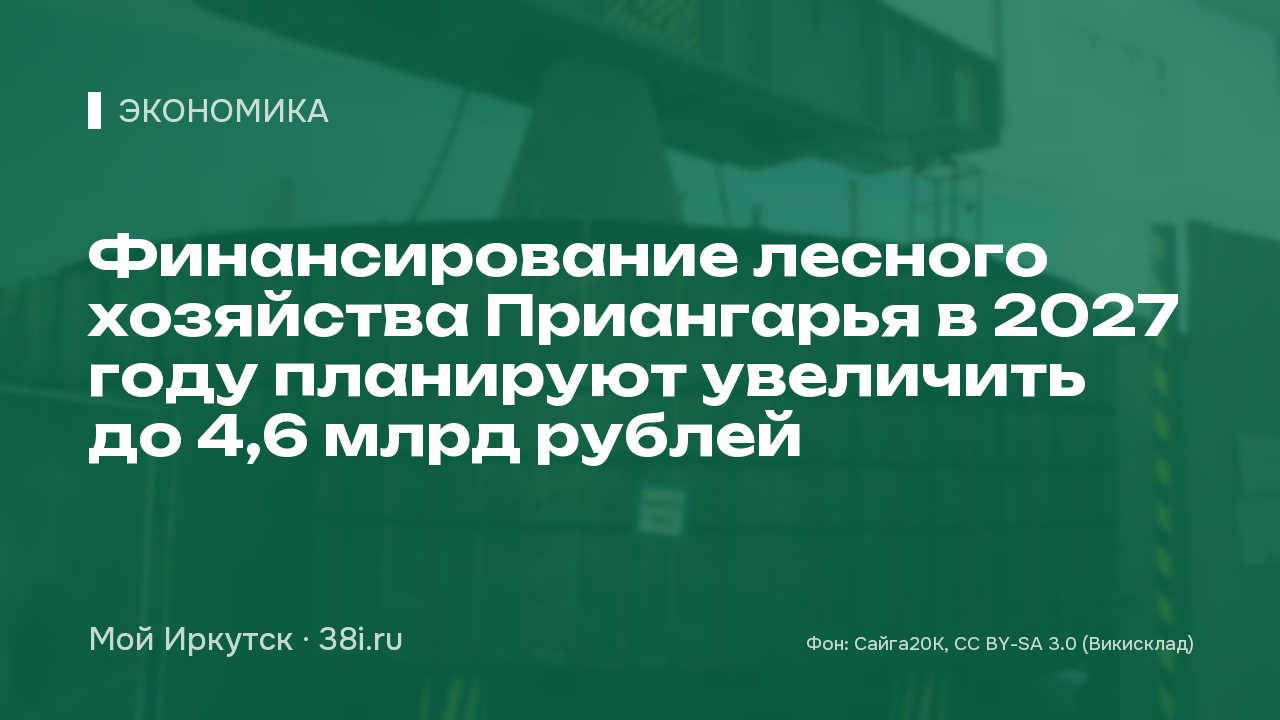 Финансирование лесного хозяйства Приангарья в 2027 году планируют увеличить до 4,6 млрд рублей
