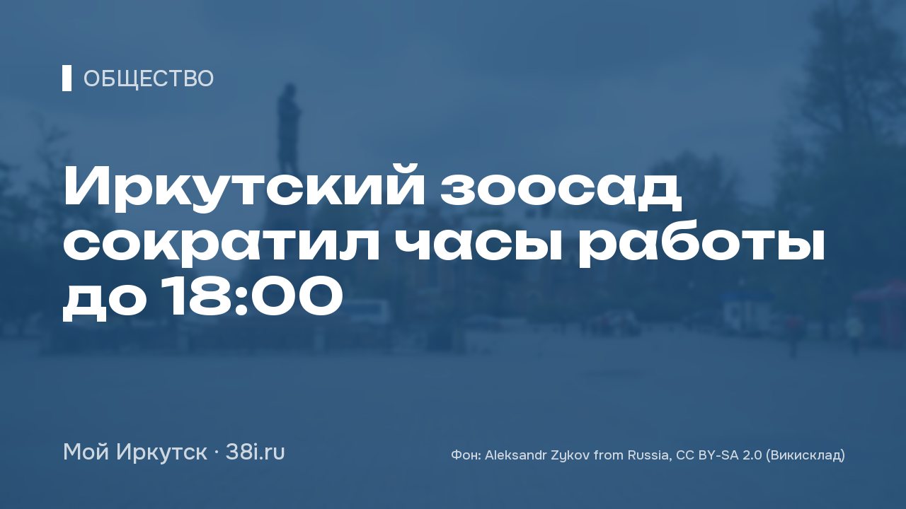 Иркутский зоосад сократил часы работы до 18:00