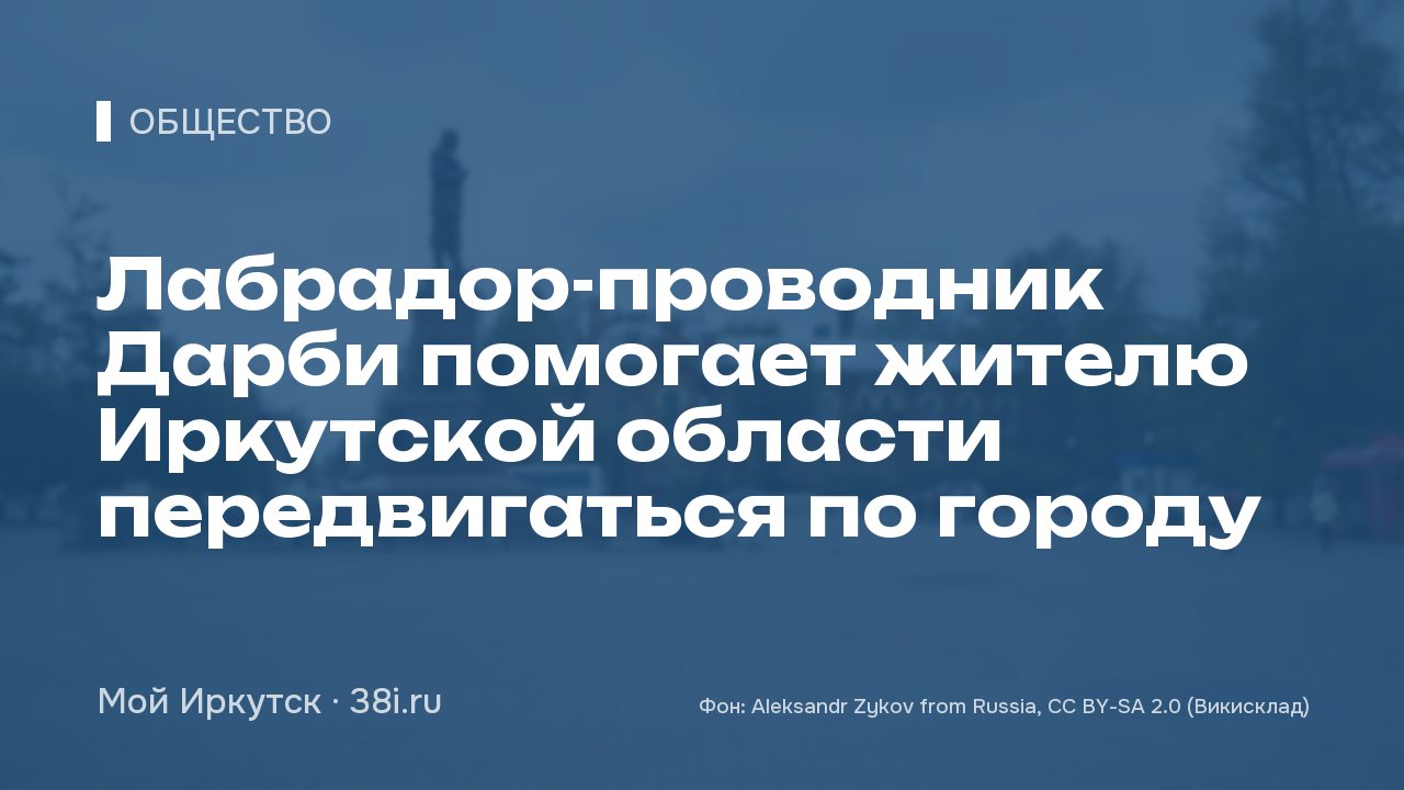 Лабрадор-проводник Дарби помогает жителю Иркутской области передвигаться по городу