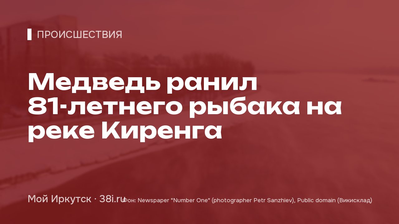 Медведь ранил 81-летнего рыбака на реке Киренга