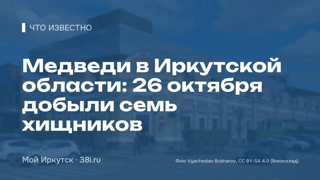 Медведи в Иркутской области: 26 октября добыли семь хищников