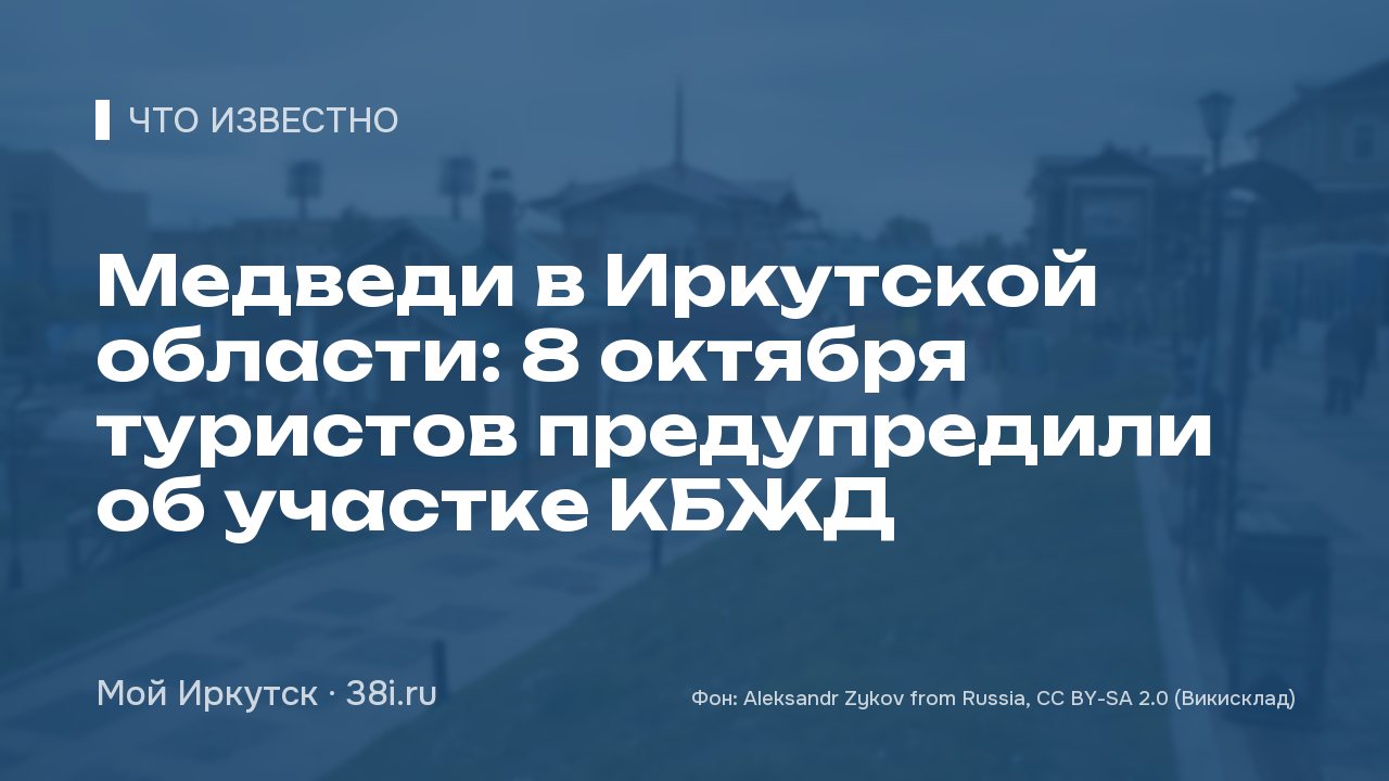 Медведи в Иркутской области: 8 октября туристов предупредили об участке КБЖД