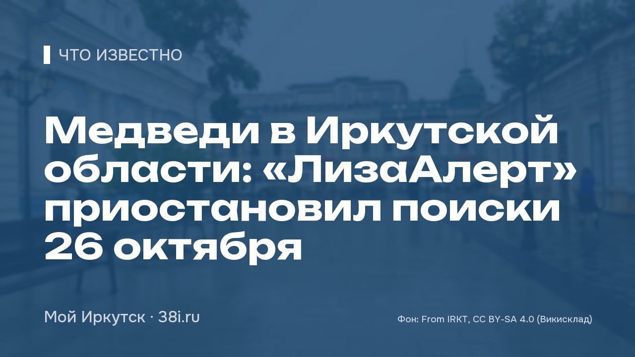 Медведи в Иркутской области: «ЛизаАлерт» приостановил поиски в лесах