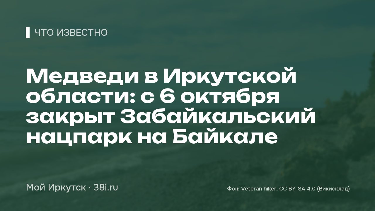 Медведи в Иркутской области: с 6 октября закрыт Забайкальский нацпарк на Байкале