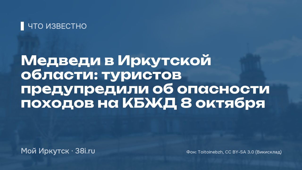 Медведи в Иркутской области: туристов предупредили об опасности походов на КБЖД 8 октября