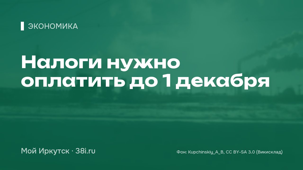 Налоги нужно оплатить до 1 декабря