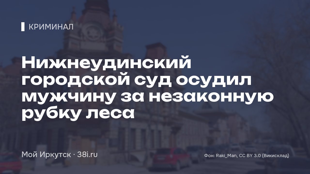 Нижнеудинский городской суд осудил мужчину за незаконную рубку леса