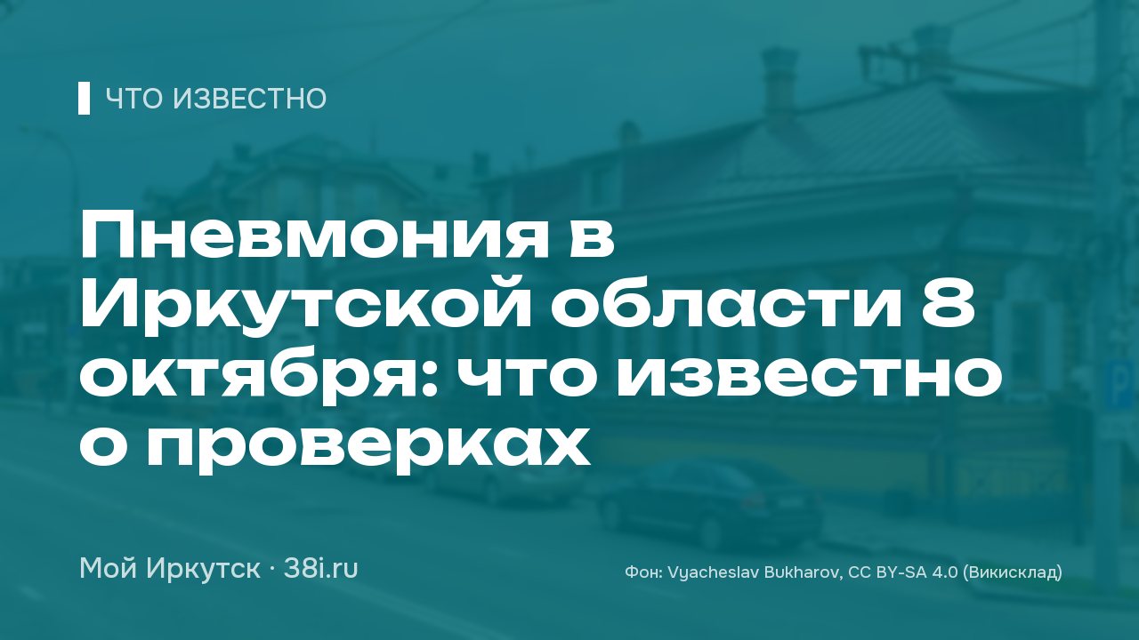 Пневмония в Иркутской области 8 октября: что известно о проверках