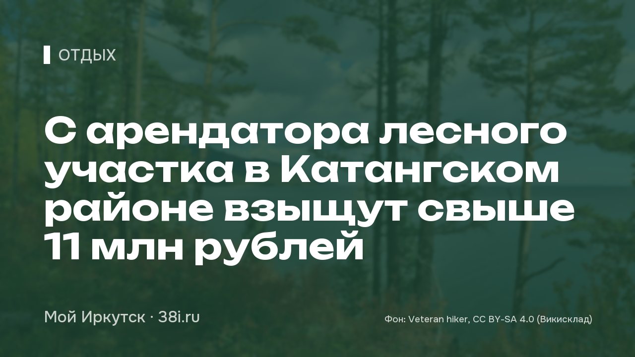 С арендатора лесного участка в Катангском районе взыщут свыше 11 млн рублей