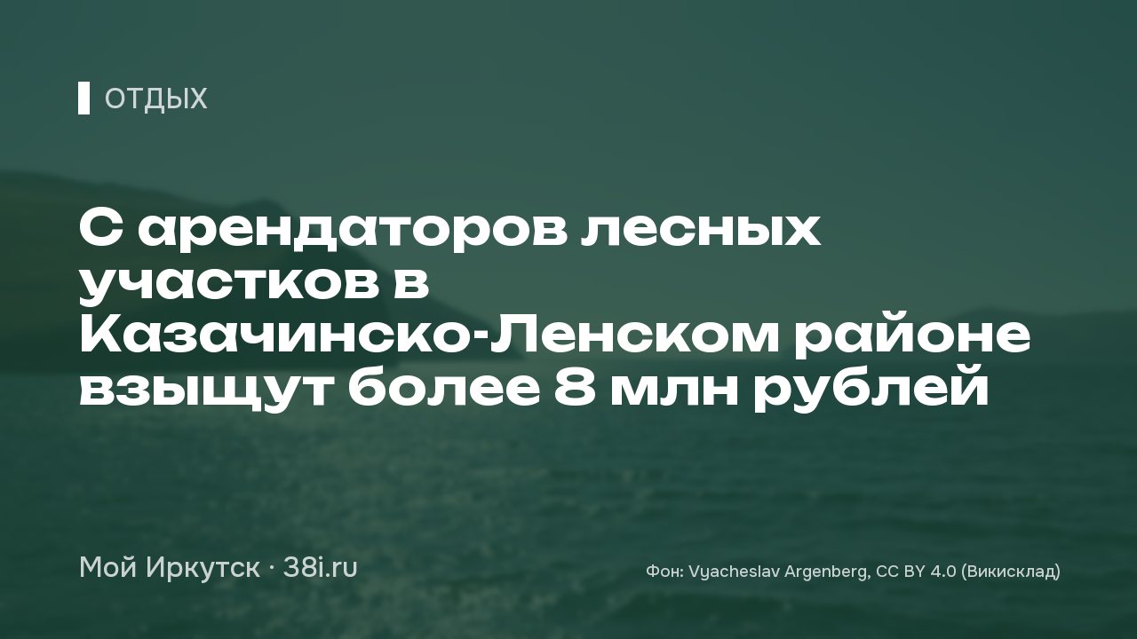 С арендаторов лесных участков в Казачинско-Ленском районе взыщут более 8 млн рублей