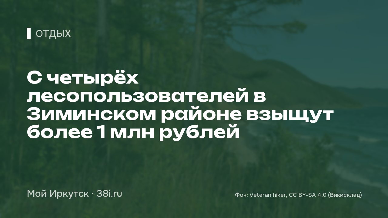 С четырёх лесопользователей в Зиминском районе взыщут более 1 млн рублей