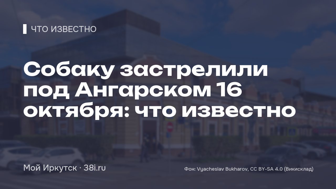 Собаку застрелили под Ангарском: что известно на 16 октября