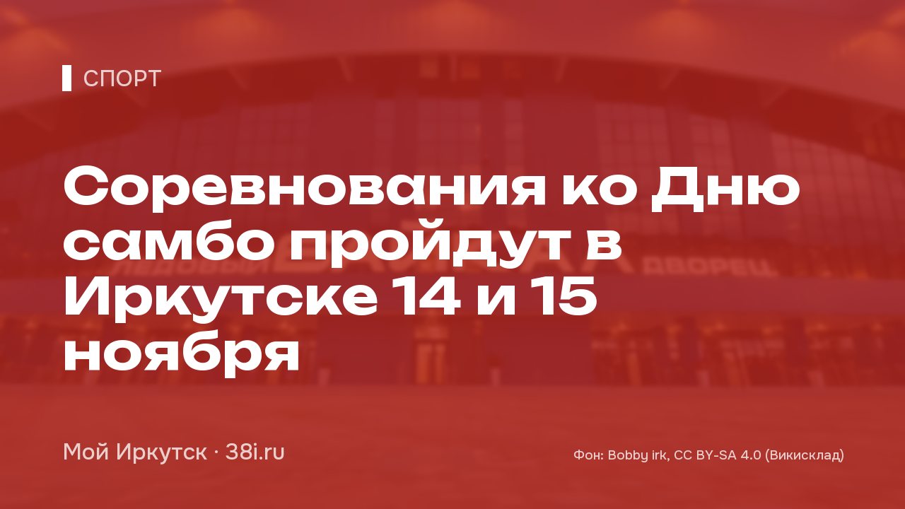 Соревнования ко Дню самбо пройдут в Иркутске 14 и 15 ноября