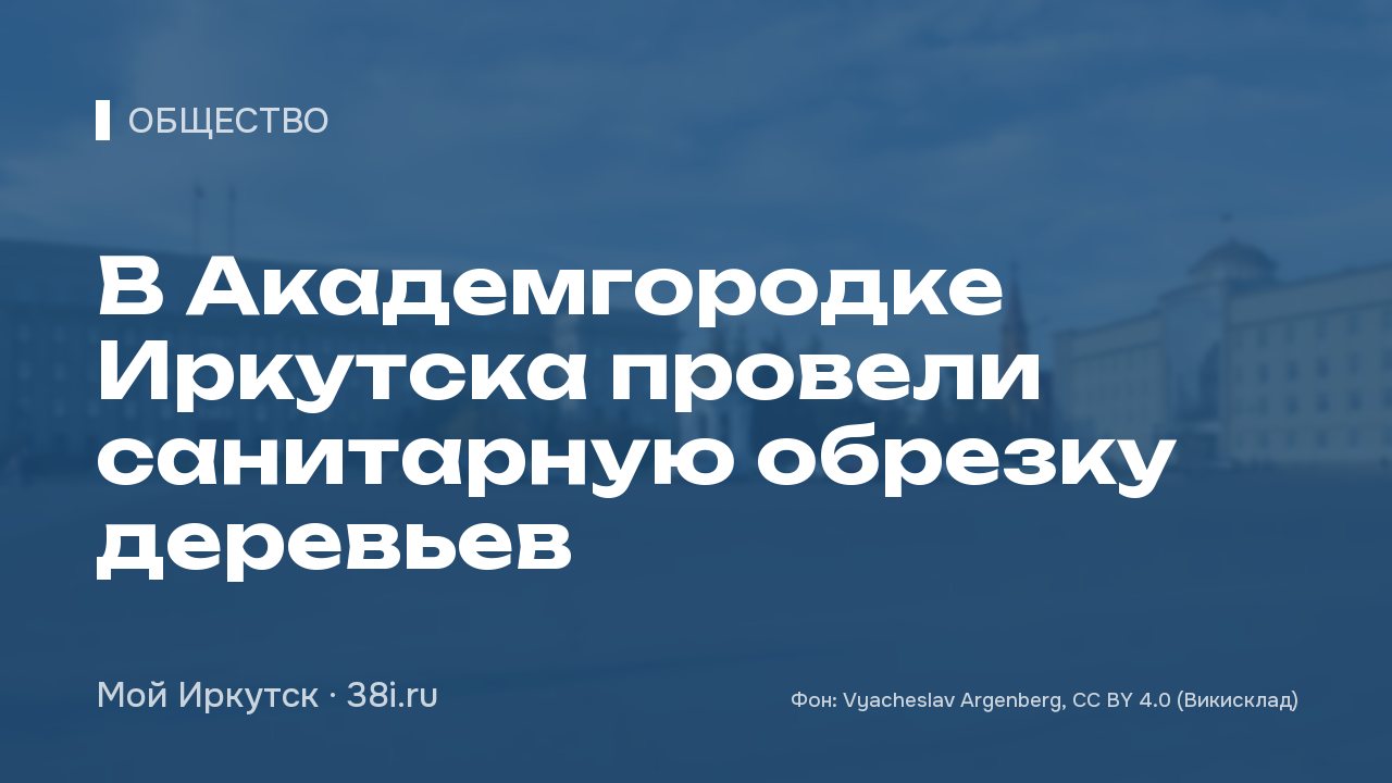 В Академгородке Иркутска провели санитарную обрезку деревьев