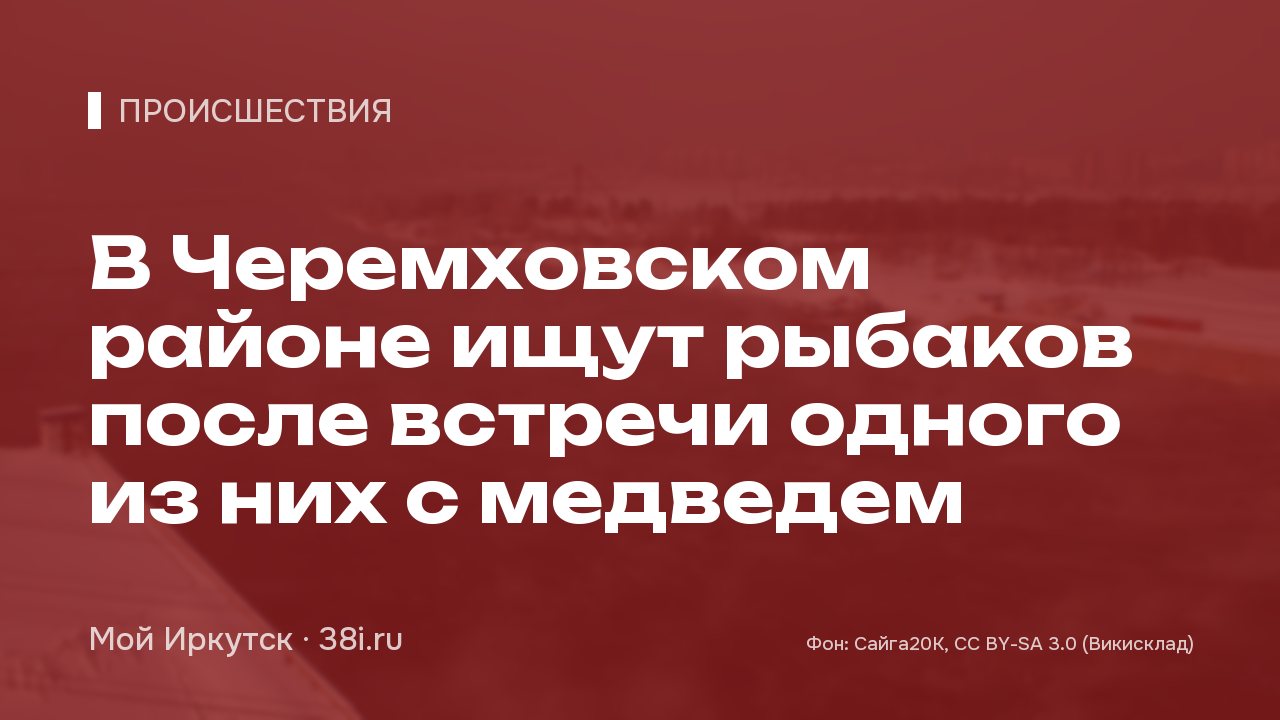 В Черемховском районе ищут рыбаков после встречи одного из них с медведем