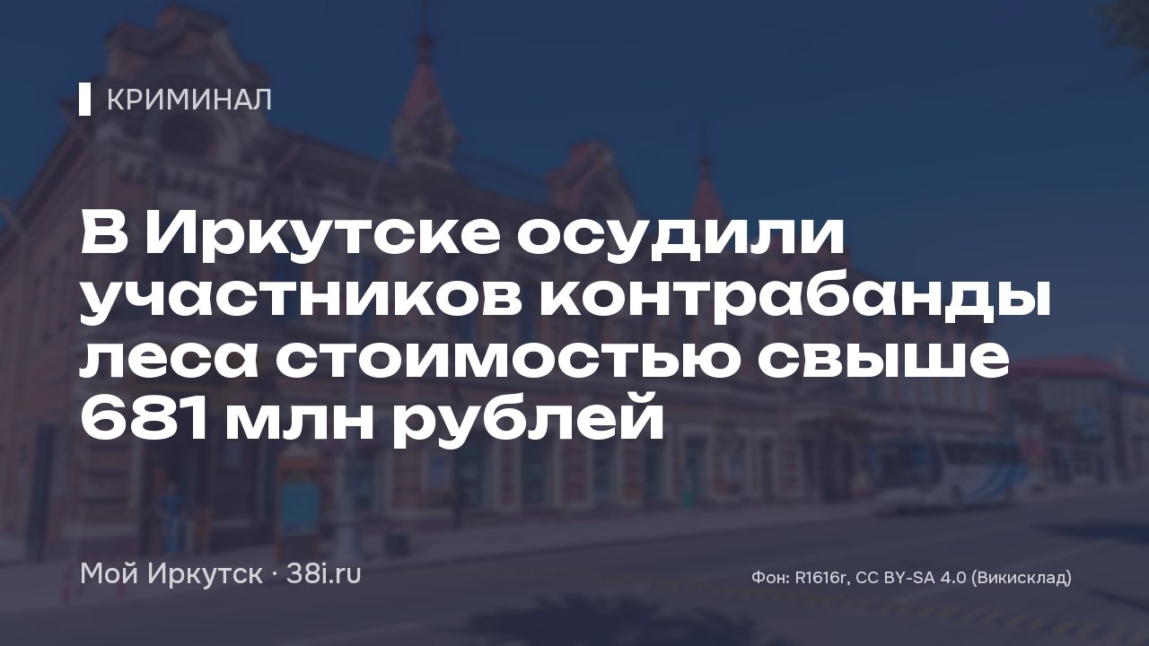 В Иркутске осудили участников контрабанды леса стоимостью свыше 681 млн рублей