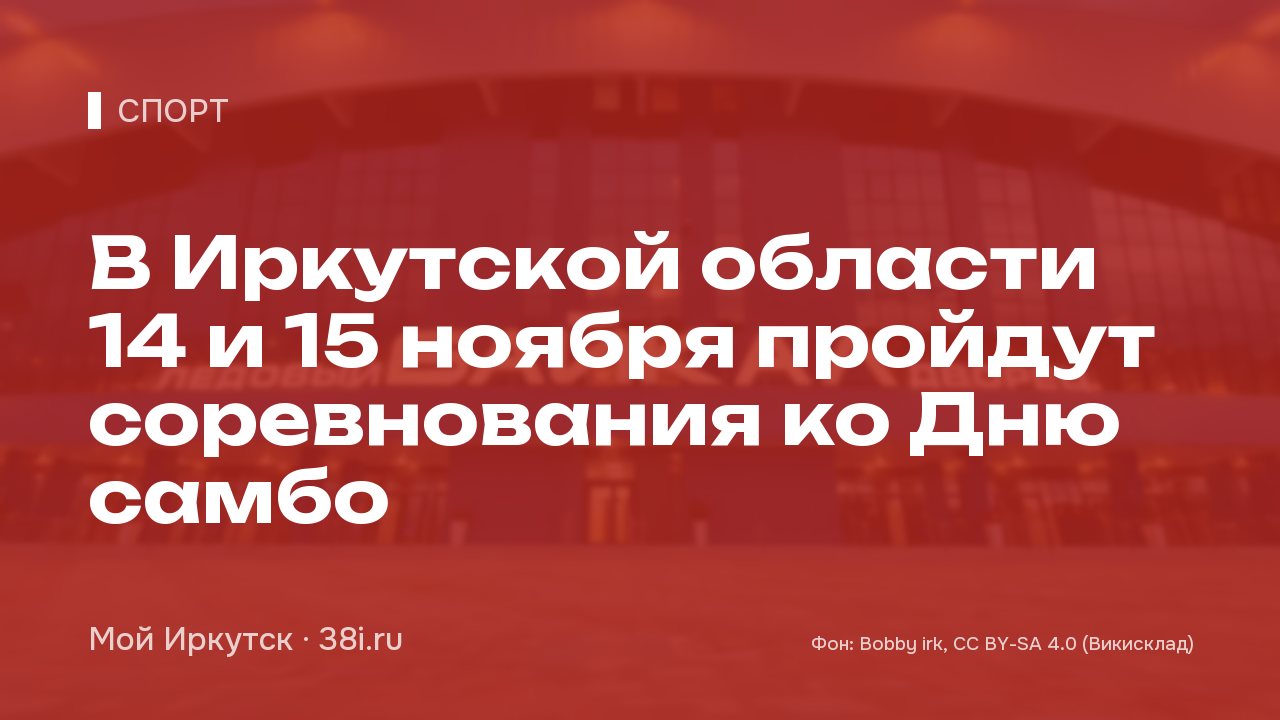 В Иркутской области 14 и 15 ноября пройдут соревнования ко Дню самбо
