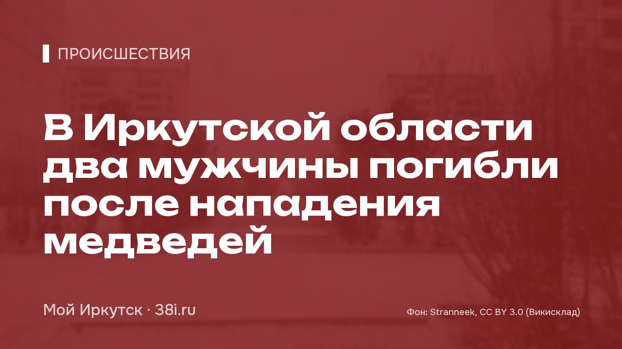 В Иркутской области два мужчины погибли после нападения медведей