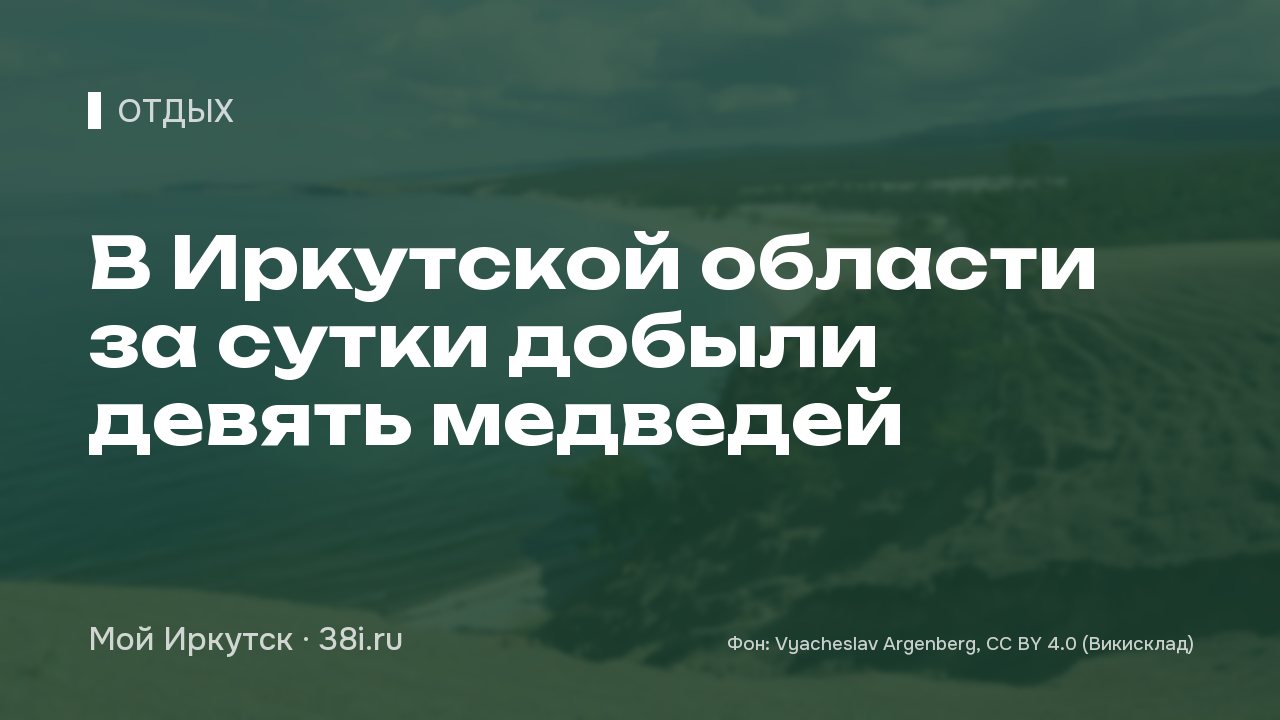 В Иркутской области за сутки добыли девять медведей