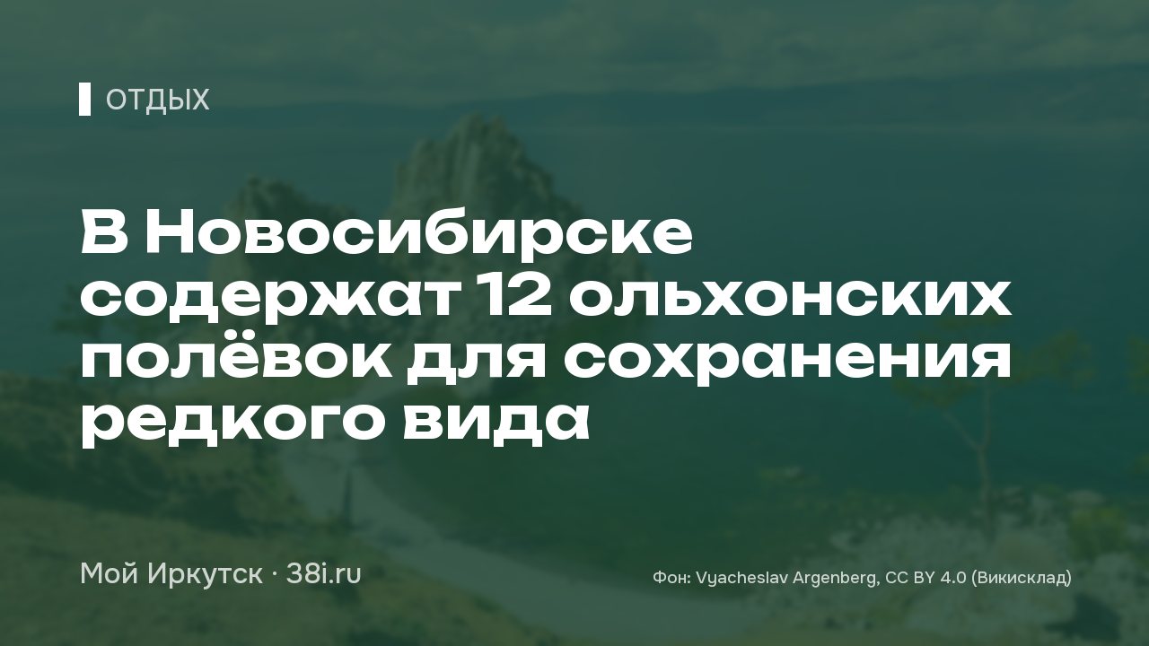 В Новосибирске содержат 12 ольхонских полёвок для сохранения редкого вида