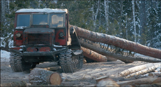 Заготовка древесины ведется в основном в зимний период