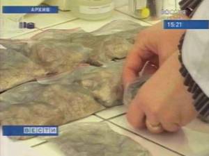 Крупную партию опиума изъяли в Иркутске