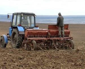 Посевная в Иркутской области